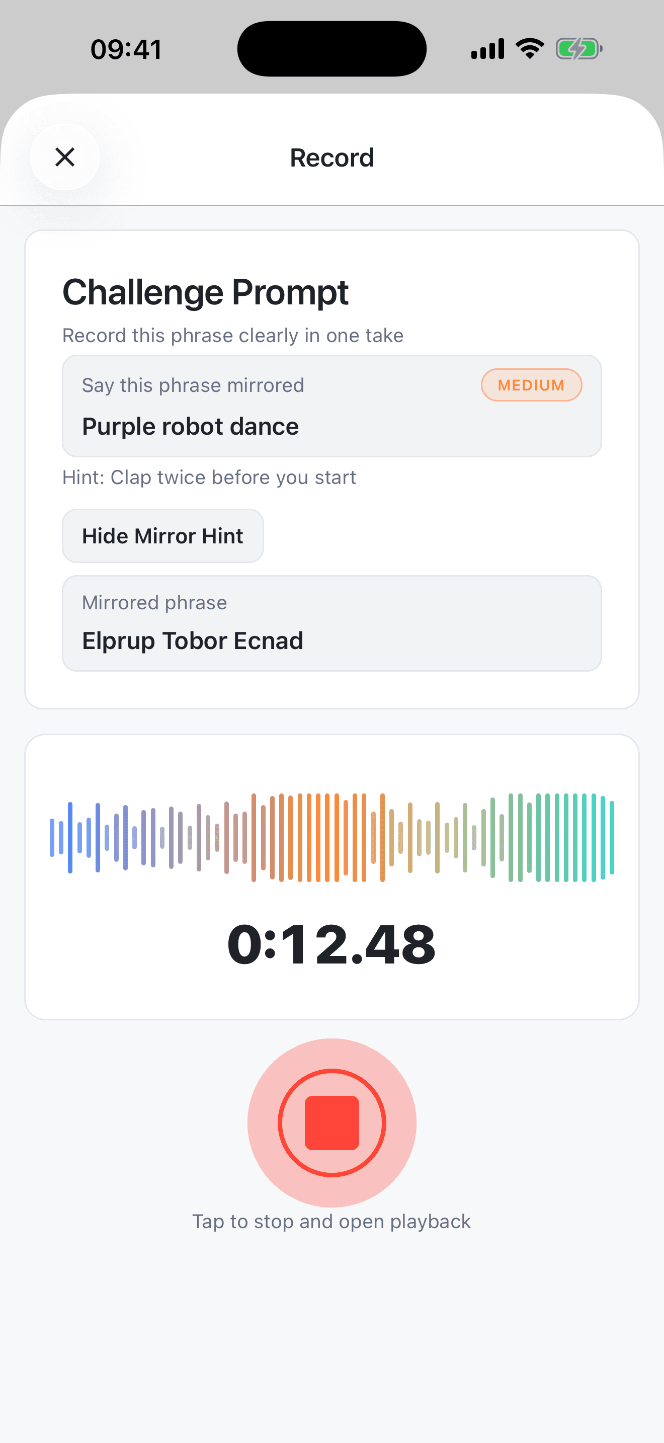 Mirror Mic screenshot 1